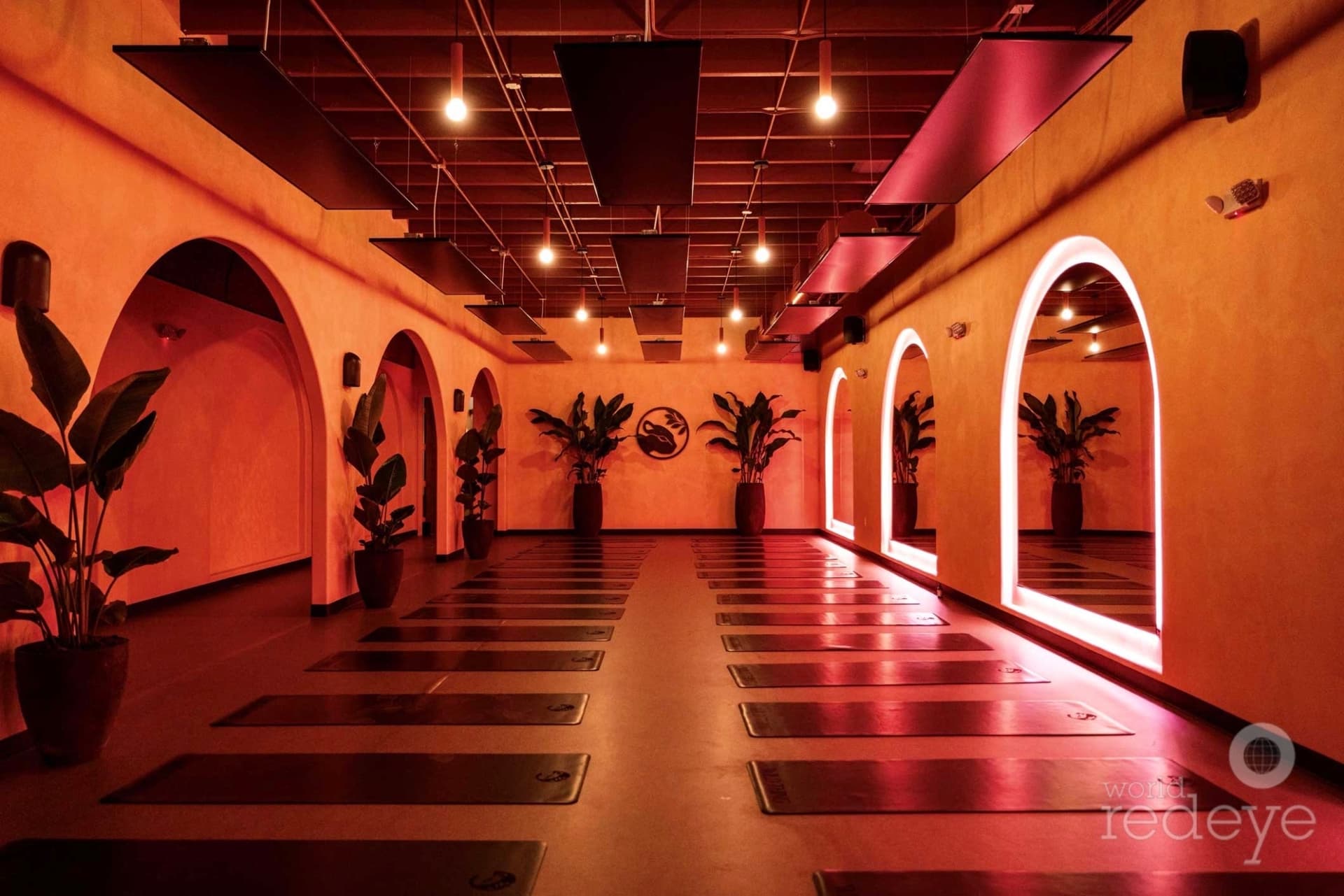 Wild Thing yoga studio