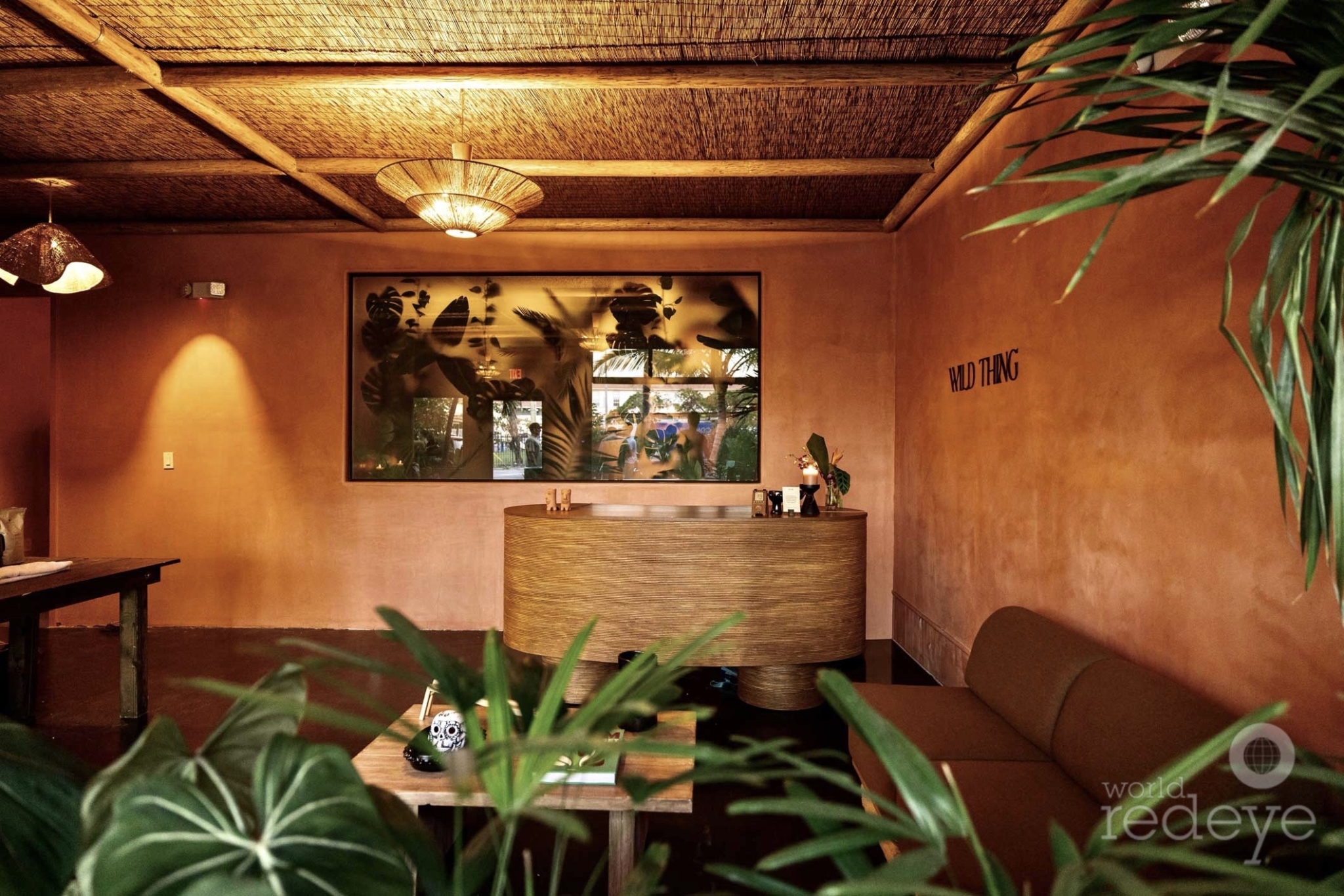 Wild Thing studio lobby